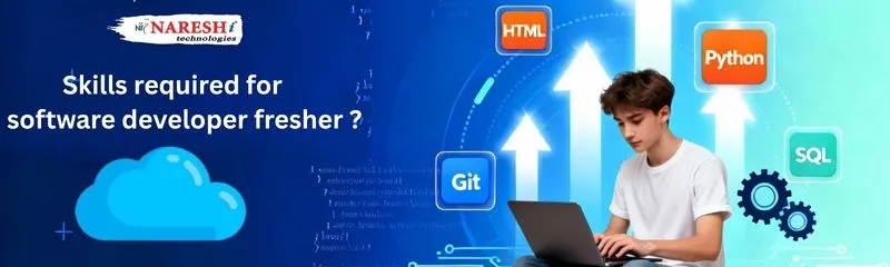 Skills required for software developer fresher - NareshIT