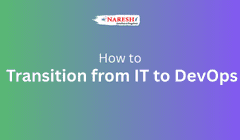 How to Transition from IT to DevOps? A Complete Beginner Guide