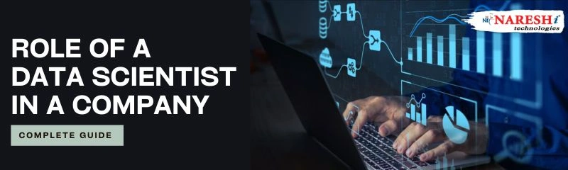 Role of a Data Scientist in a Company | Complete Guide