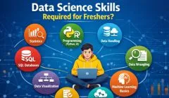Illustration showing data science skills required for freshers including Python or R programming, SQL databases, data visualization, statistics, data wrangling, and machine learning basics.