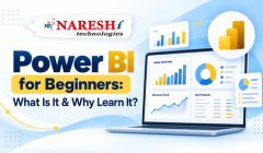 Power BI for Beginners: What Is It and Why Learn It? | Naresh IT