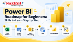 Power BI roadmap for beginners showing six step-by-step skills: Excel Basics, Power Query, Data Modelling, DAX, Visualization, and Projects. Naresh i Technologies branding is displayed at the top.