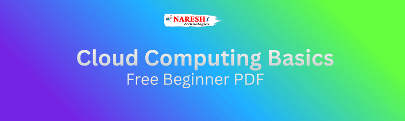 _Cloud Computing Basics Free Beginner PDF (1)